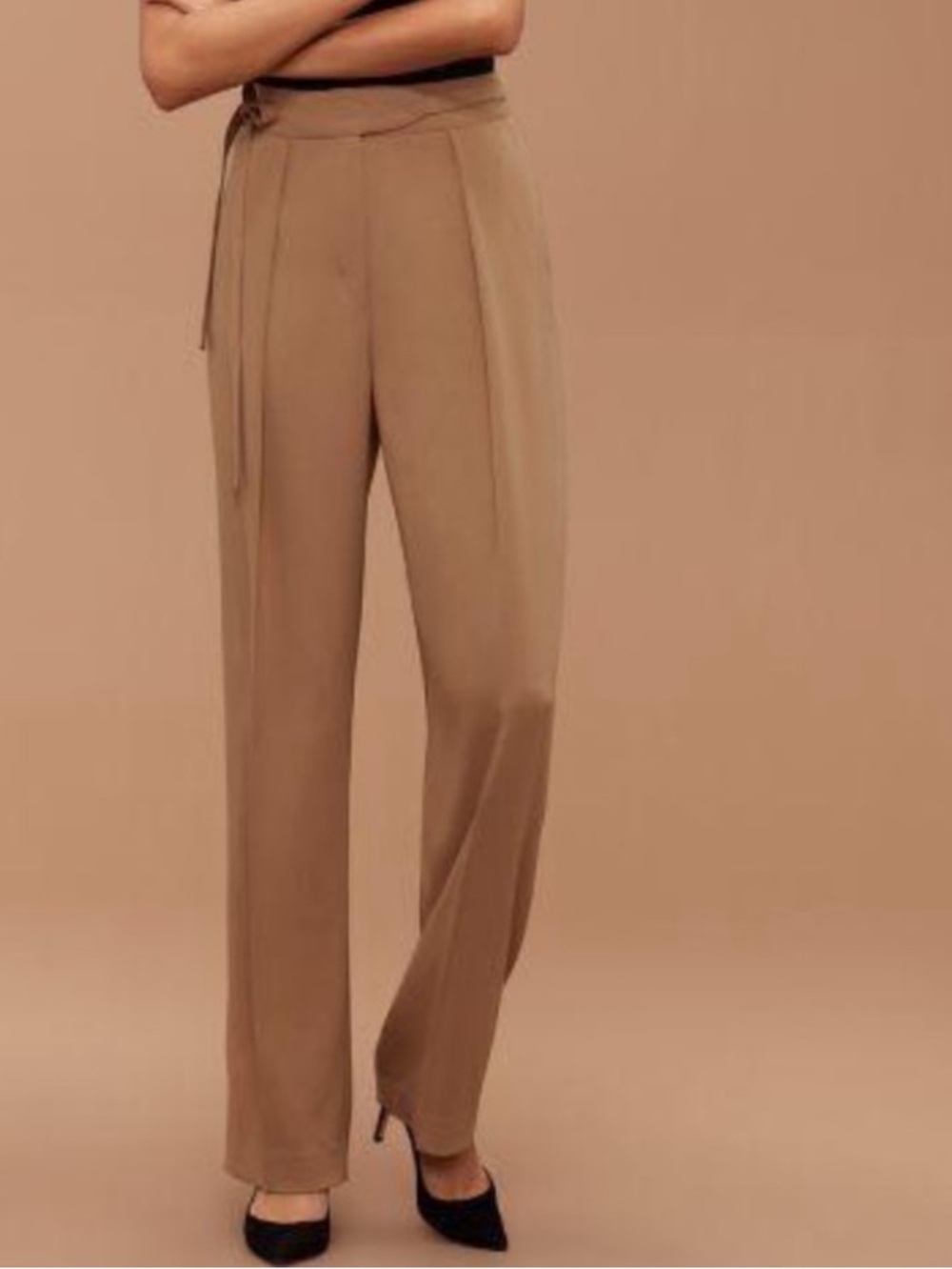 Aritzia Babaton Andreas Pant (Black)